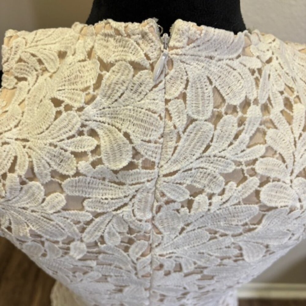 Tobi NWOT Sleeveless Ivory Floral Lace Cutout Above Knee Lined Dress Small - Picture 6 of 8